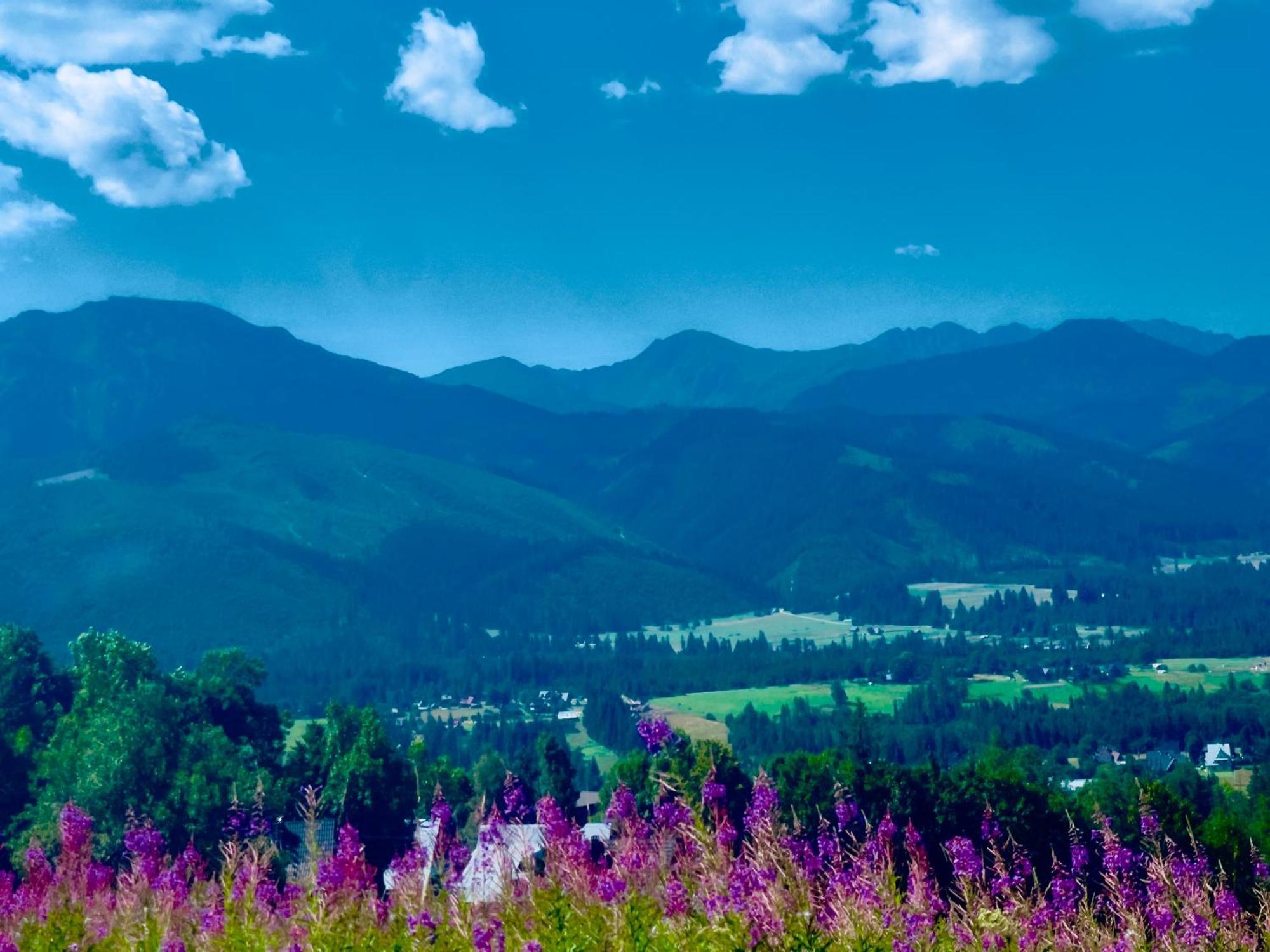 Goralska Chatka Kościelisko Exterior foto